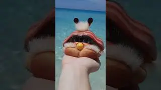 Shelby at the beach p2! #furby