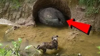 Die 6 Merkwürdigsten Entdeckungen in Hinterhöfen!