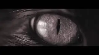 George Ando - Mantra (Teaser)