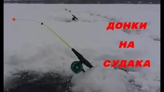 PIKE-PERCH FISHING POLES! PIKE-PERCH FISHING WITH SPRAY! VOLGA RIVER.