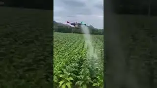 Fumigando con Drone 🧑🏽‍🌾 