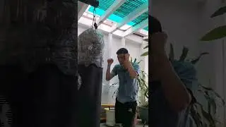 Combo 
