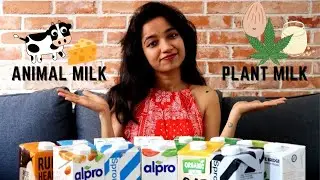 ANIMAL MILK vs PLANT MILK!! Which one is best for you??😮
