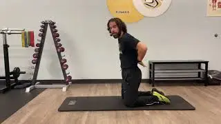 Pain Reduction Fitness- Mobility: Sphinx Rotations