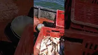 ЗАКОНЧИЛИ! РЫБАЛКУ! 