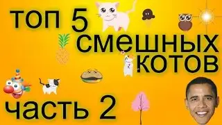 ТОП 5 СМЕШНЫХ КОТОВ часть2