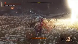 Sekiro: Shadows Die Twice_20230527144341