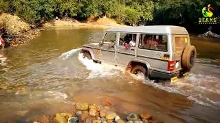 Dudhsagar Waterfalls Trek  | Goa  | Chennai Express