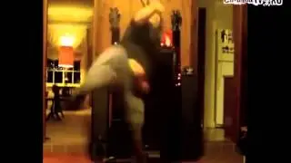 мош боец