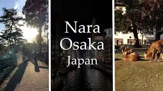 a visit to nara