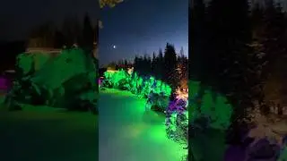 Куда съездить на 1 день из Петербурга в зимние каникулы?