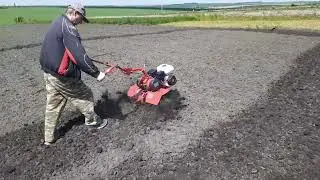 Культивируем огород 2024