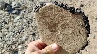 Бархатный сезон - Юркино Медузыы