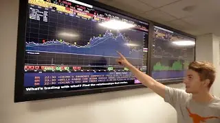 Study Business and Economics at UQ
