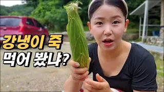 이거이 북한에서 먹던 강냉이 죽 맞슴네까?