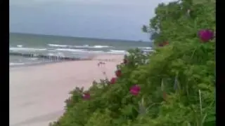 Wróćmy więc do tamtych dni.wmv