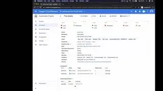 Google Cloud Istio Mesh Expansion