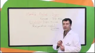 Teknomektep Logic Introduction to Logic
