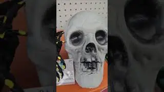 Skull & Spider #foryou #halloween #spooky #spookyskeleton #skeleton #skull #spider #scary #creepy