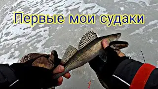 Winter fishing 2021. We stayed until the evening to catch the zander.