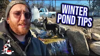 Winter Pond Tips