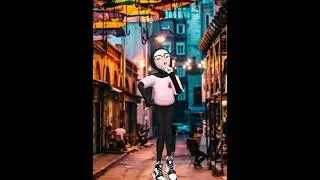 Mini trip video