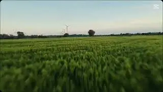 DJI Neo 2 - Öland 