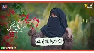 New Saraiki Song Status 2023