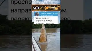 У гинеколога #анекдоты #шортс