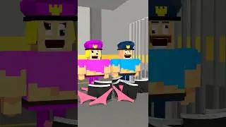 Stupid Barry And Stupid Barry Woman Vs Prisoners