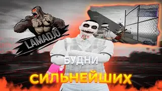 БУДНИ САМОЙ СИЛЬНОЙ СЕМЬИ!!!! | LAMADJO FAMQ | gta5rp ALTA