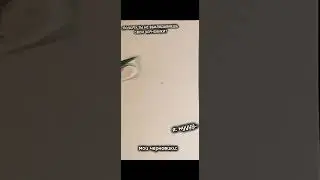 Каморок окутал потолок 🥲