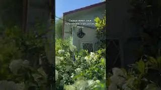 #мышление #психология