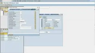 SAP ABAP Query through PA30_P20 Object Manager.