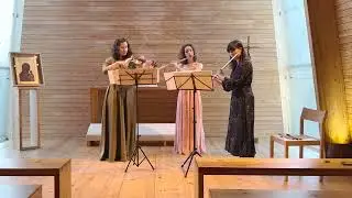 Viva Trio - Game of Thrones