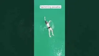 Effortless open water freestyle swimming #swimming #ocean #danswim