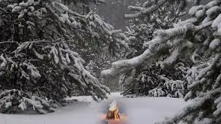 Winter Ambiance | Hunting | Thunder | Wilds | Snow Walk | Relax Sleeping |