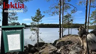 Sagstuåsen rundt med Tassen!