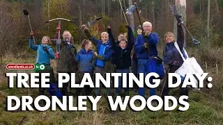 Tree Planting Day At Dronley Woods
