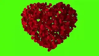 flowers green screen effects.rose green screen.hearts green screen.