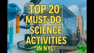 Top 20 Must Do Science Activities in NYC