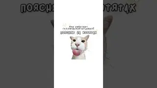 Как работает голландский штурвал?