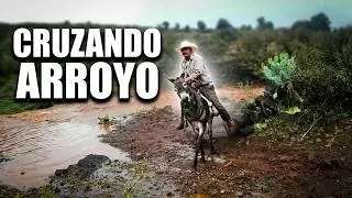 Cruzando el Arroyo | Episodio #1