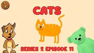 Funky the Green Teddy Bear – Cats. Preschool Fun for Everyone! Series 2 Episode 11