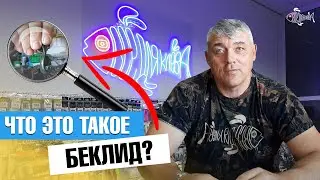 Что такое беклид? Для чего нужен беклид? Советы начинающим рыбакам. 
