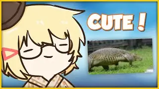 Ame Would Pet a Gator if it Stayed Small?