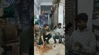 #कॉमेडी #earning #daily #viral #couplecomedy #reels #youtube #everyone