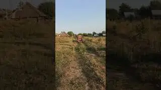 В гостях у деда в деревне летом)