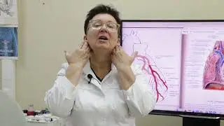 Давит сердце после еды, что делать?[Шишова О.И.]