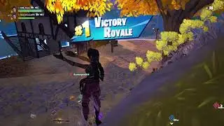 15 kills duo victory royal